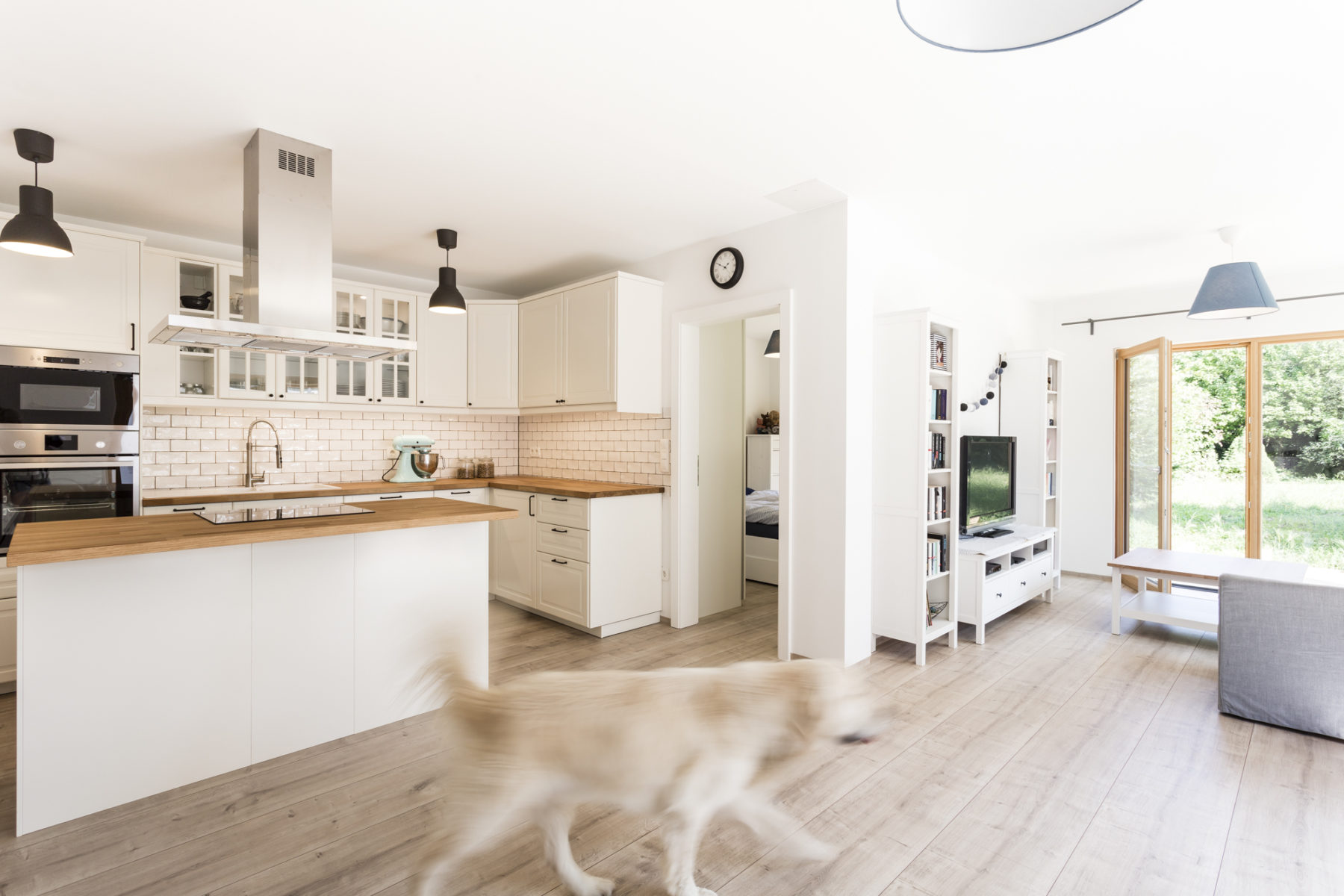 COMMOD « house of the dog » 92m²