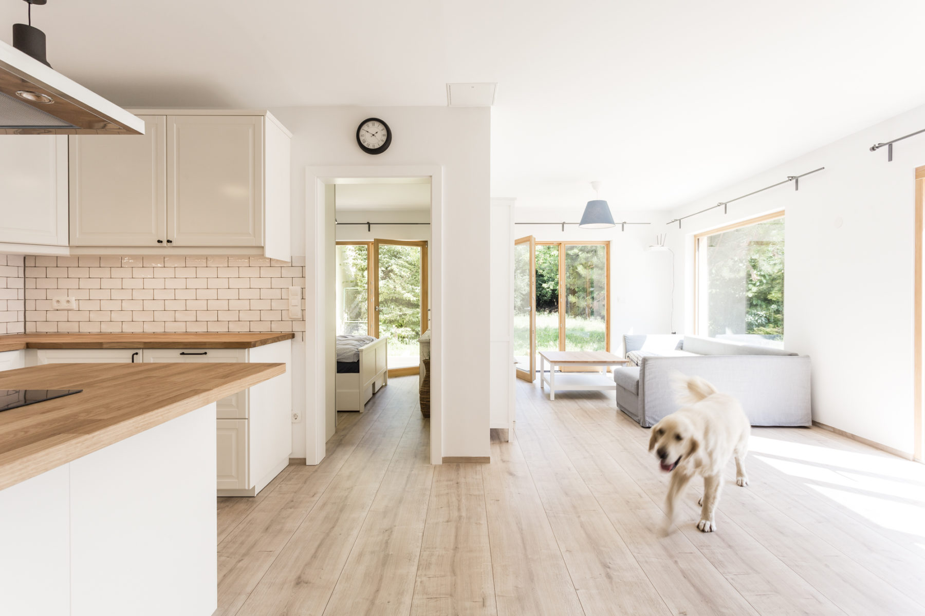 COMMOD « house of the dog » 92m²