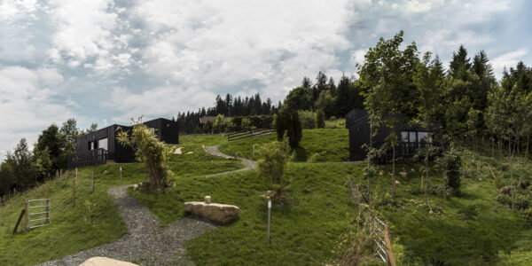 TOURISMUS & BAUTRÄGER PROJEKTE _ tiny house & Alpenchalet