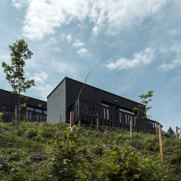 Tiny House Appartments „artlodge“