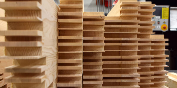 Holzbau: Warum ein Haus aus Holz wählen?