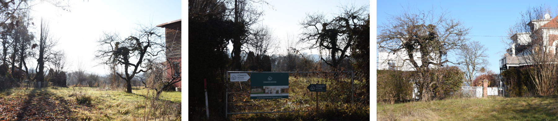 COMMOD SPLIT P(L)OT©