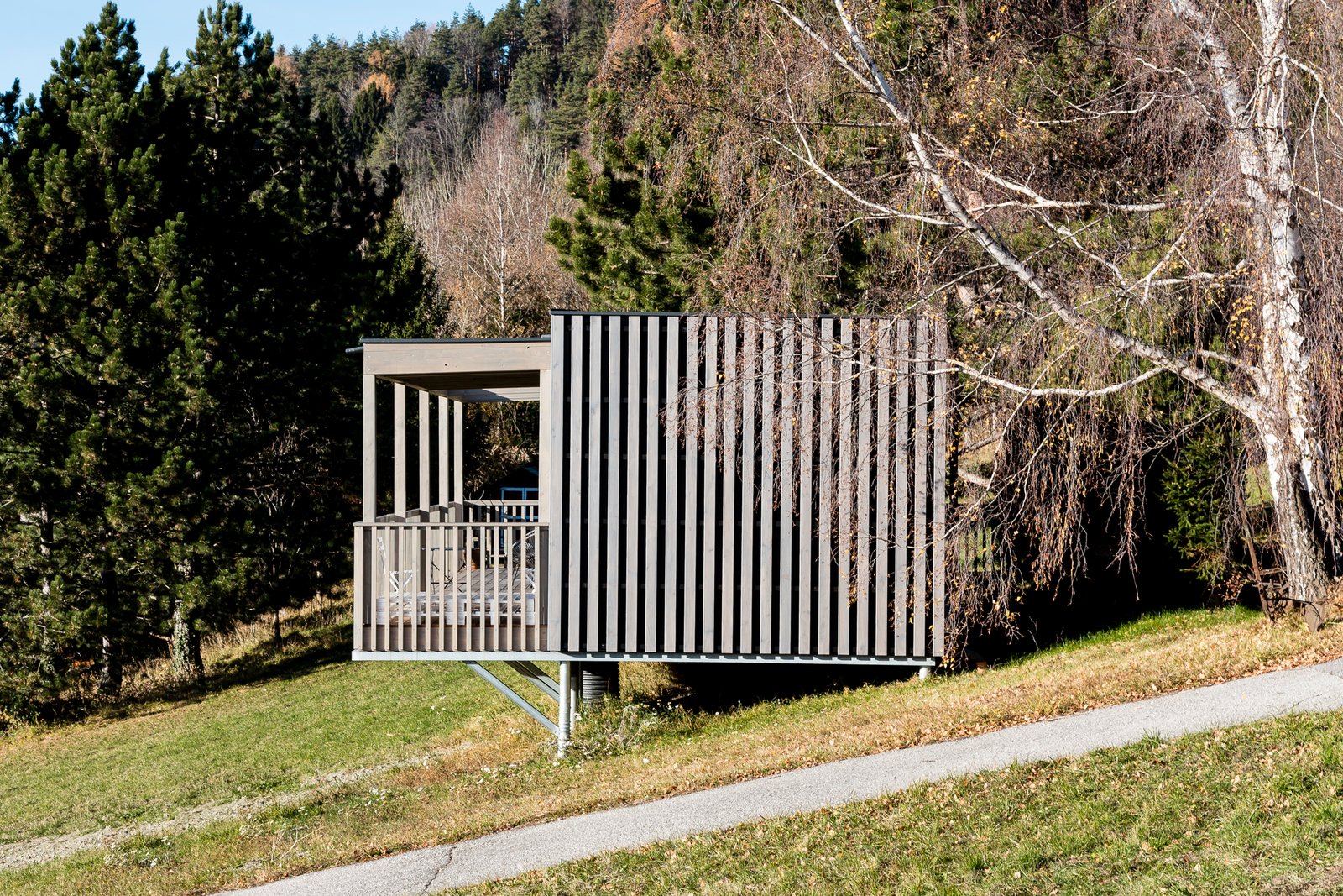 COMMOD HOUSE mit vertikaler Lattung, auf Stützen an einem Hang zwischen Birken, im Herbst